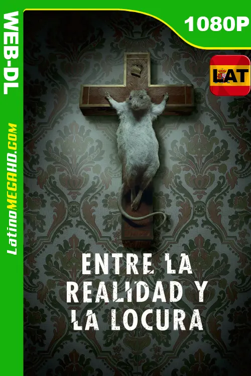 Entre La Realidad y La Locura (2022) Latino HD WEB-DL 1080P ()