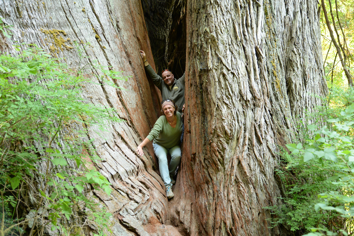 Árboles gigantes, fuegos y volcanes extintos - Oregon y California norte (2018) - Blogs de USA - Rogue River y costa norte de California (15)
