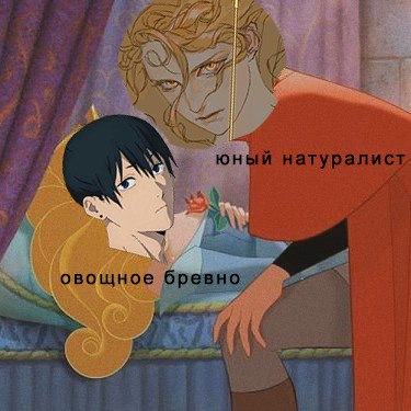 https://i.postimg.cc/KjXCHs99/photo-5260485908921187062-x.jpg