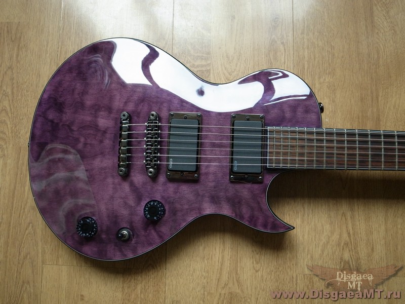 Ibanez_ARZ800_002