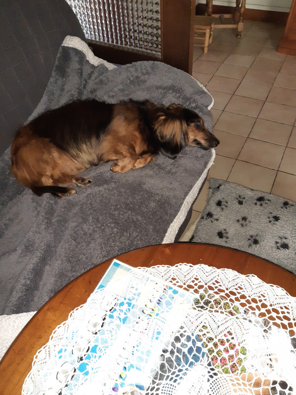 [Image: 20220330-154132.jpg]