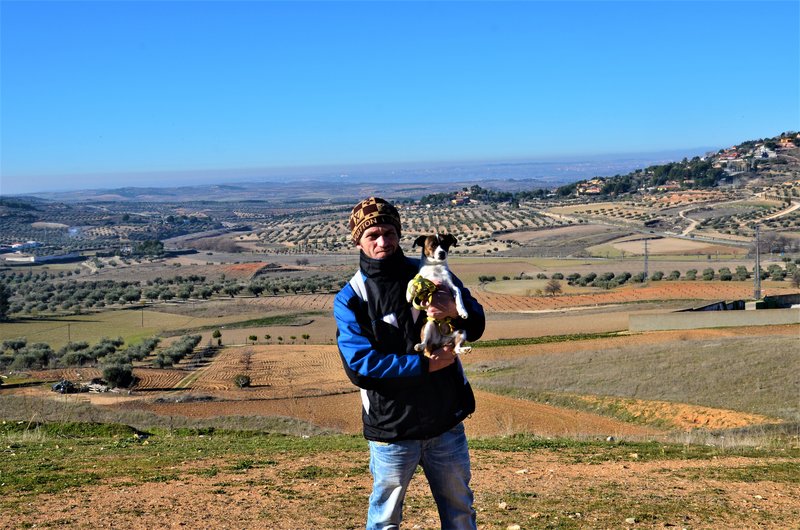 CHINCHON-4-1-2015 - Madrid y sus pueblos-2000/2022 (23)