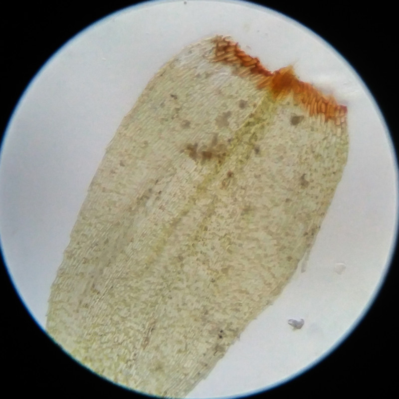 IMG 20250617 111514 HDR