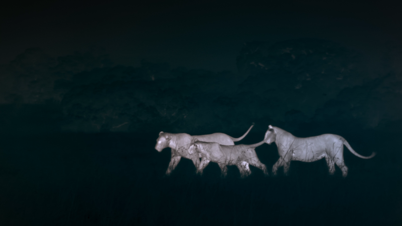 Notte.Sul.Pianeta.Terra.S01E01.Pianure.Al.Chiaro.Di.Luna.iTALiAN