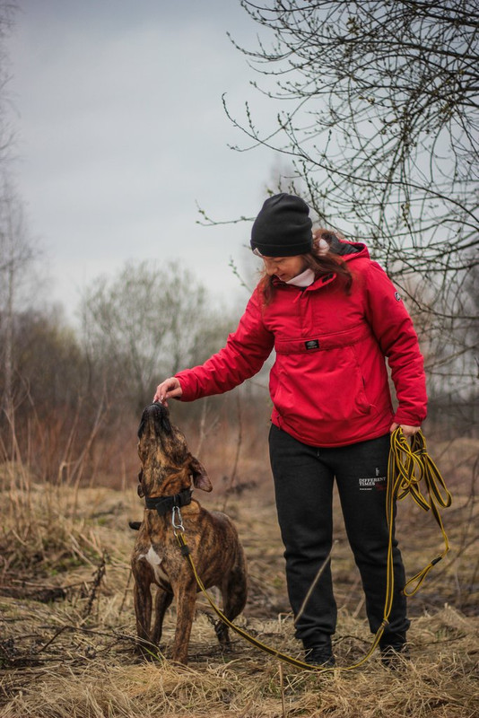 без имени-0102