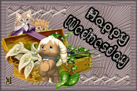 5d89458521ab34be2e4de94d3c423d76.gif