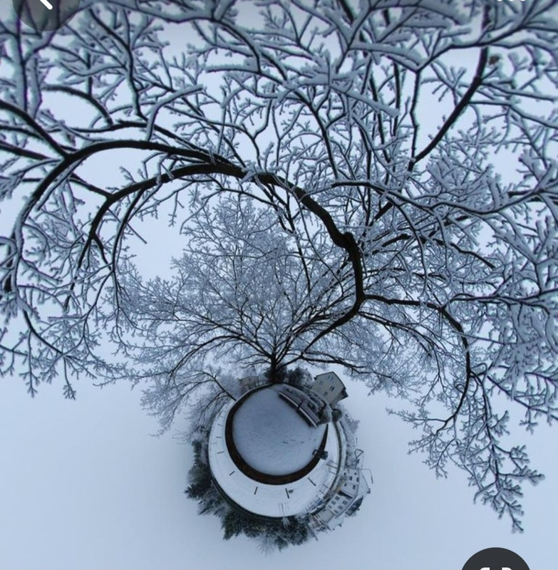 Screenshot_20240126_153906_Pinterest