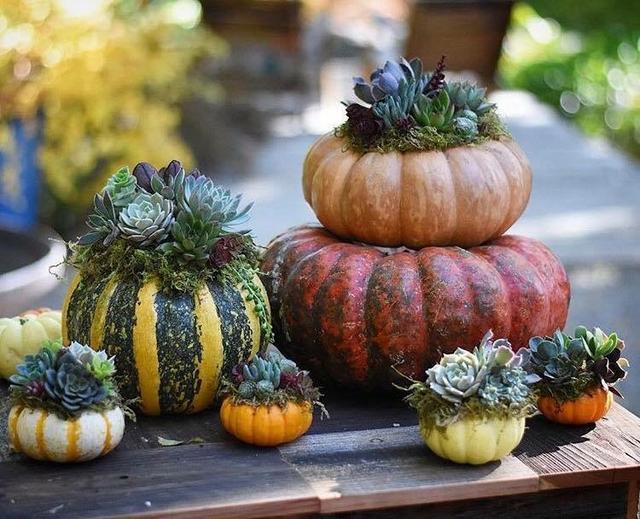 [Image: B94-B82-EA-B520-441-F-BF41-93-B6-EE4-E95-F3.jpg]