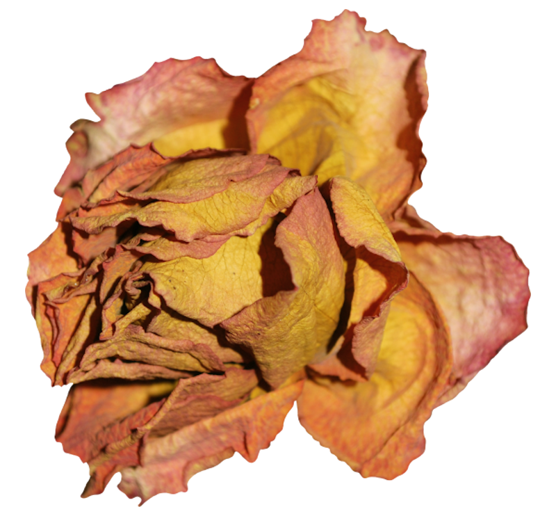 IPD_AH_Element (128)