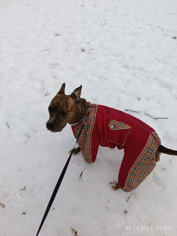 43710206-E6BC-4354-ACBF-FCDC94F3DA27