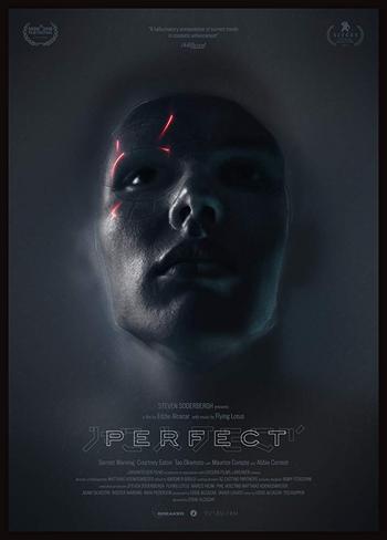 Perfect 2019 1080p WEB DL H264 AC3 EVO