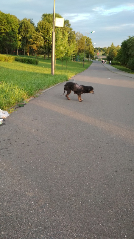 C89398C9-CCE0-4BC2-84B8-6637FEFEBBF7