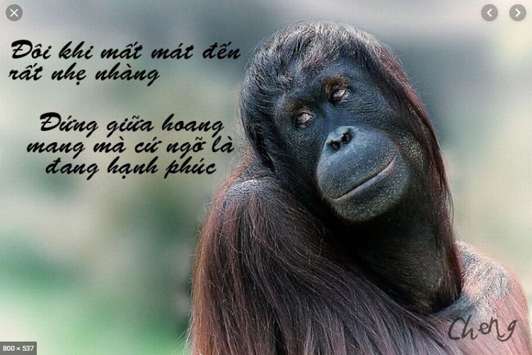 anh nhớ em... - Page 2 Tho