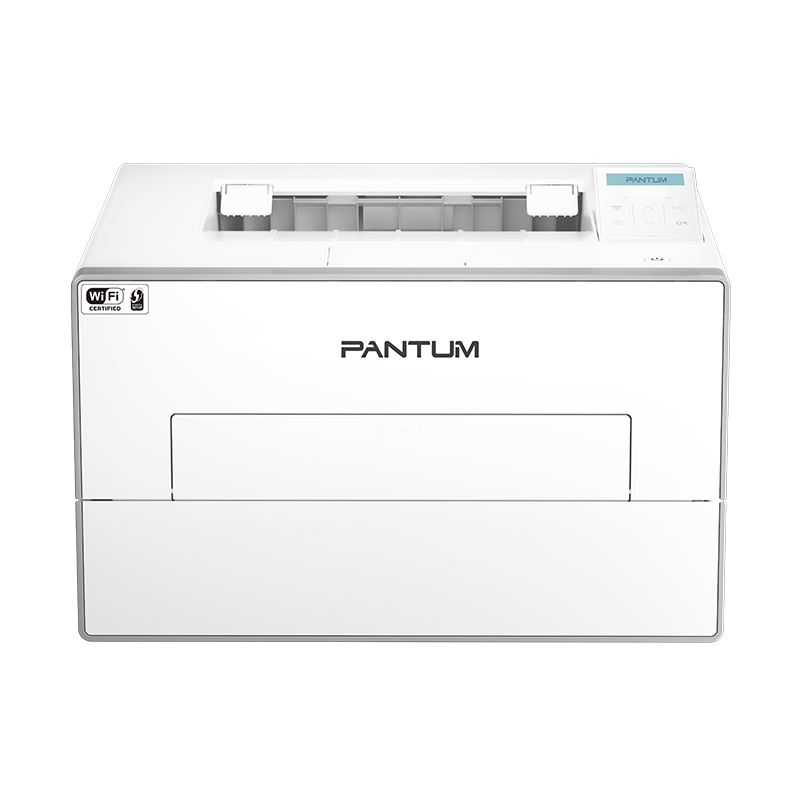 Pantum BP4206DW Angle View