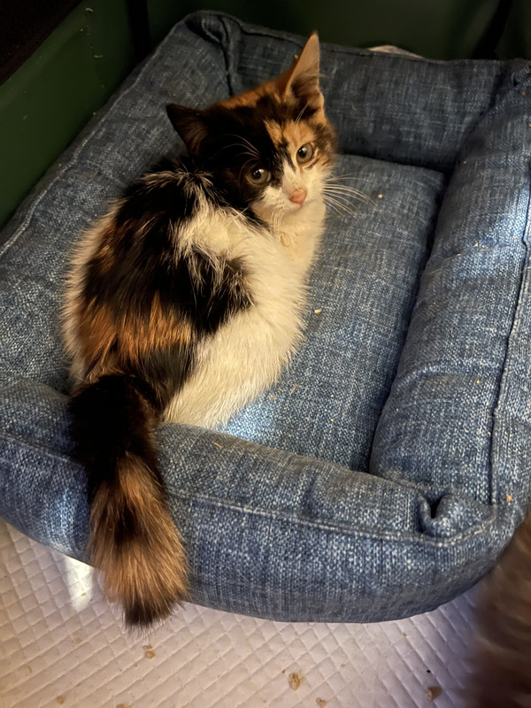 650003B0-CD89-4522-9070-E841EEDF98CF