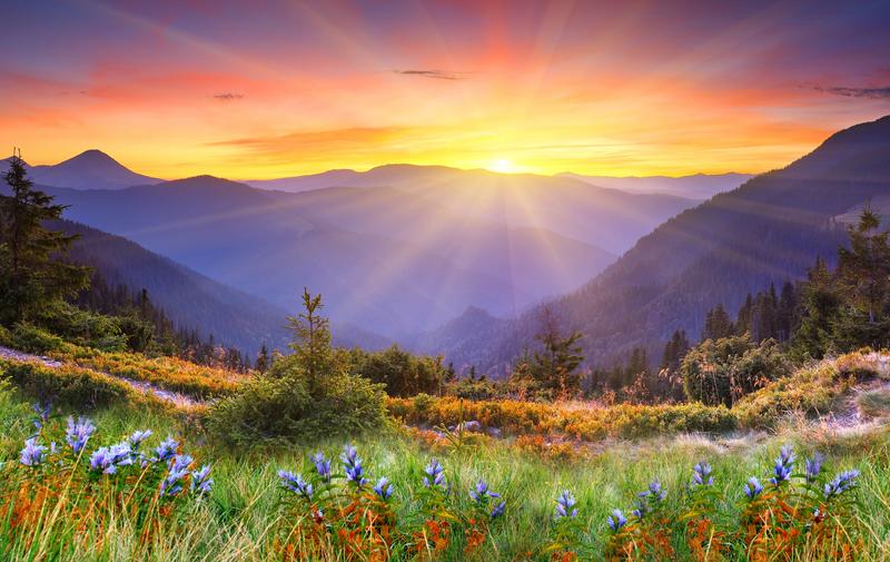 Nice-Landscape-Art.jpg