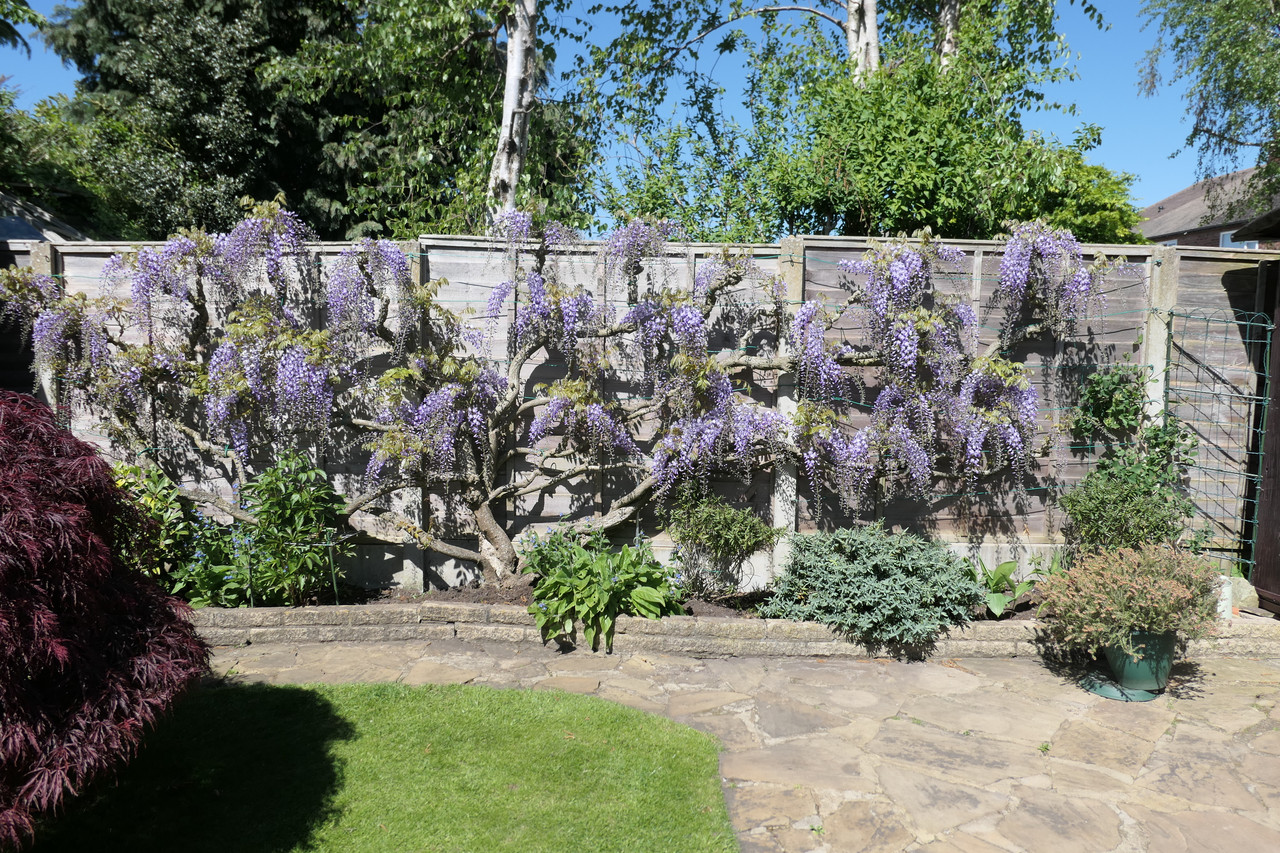 P1040470