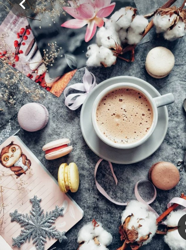 Screenshot_20230305_012002_Pinterest