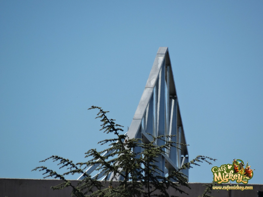 WhatsApp Image 2020-07-30 at 17.37.08 (1)