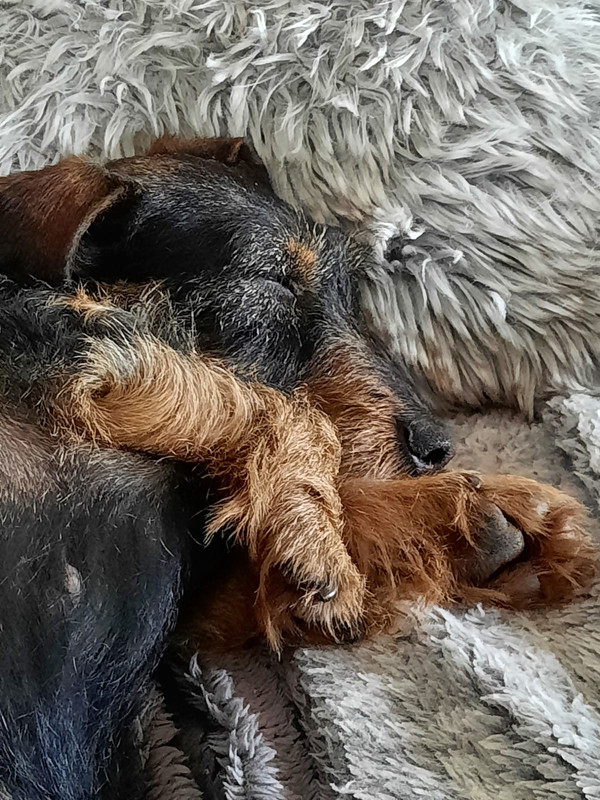 [Image: Whats-App-Image-2020-08-25-at-14-12-28.jpg]