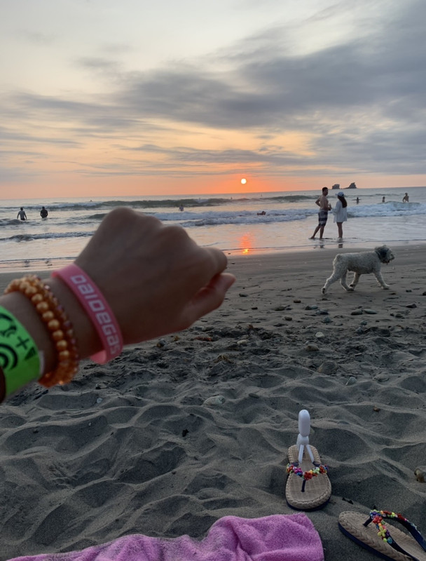 B76D53A4-CD22-45F0-A4AE-24F1B7BF8CC0