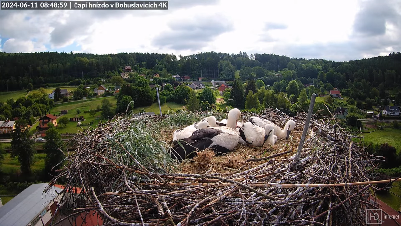 Tiešraidē no uzņēmuma KARA stārķa skursteņa Bohuslavicē pie Trutnovas 11-42-44 screenshot