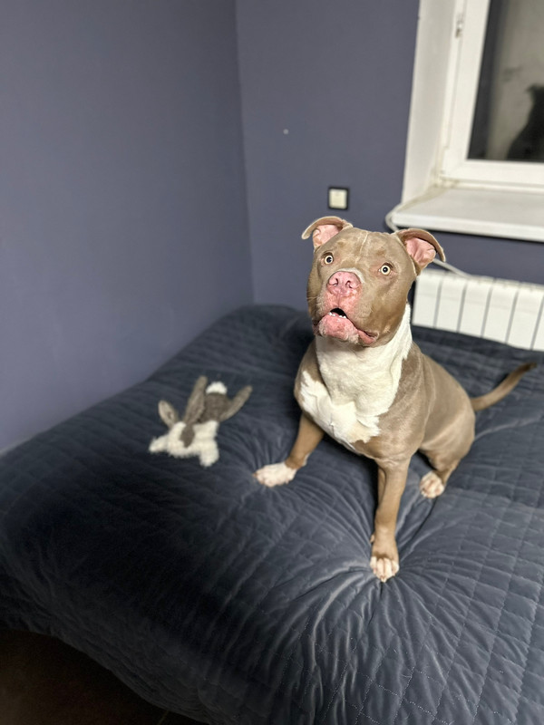 BB3A282C-9582-4D2E-9A06-C7EE0EC1F47A