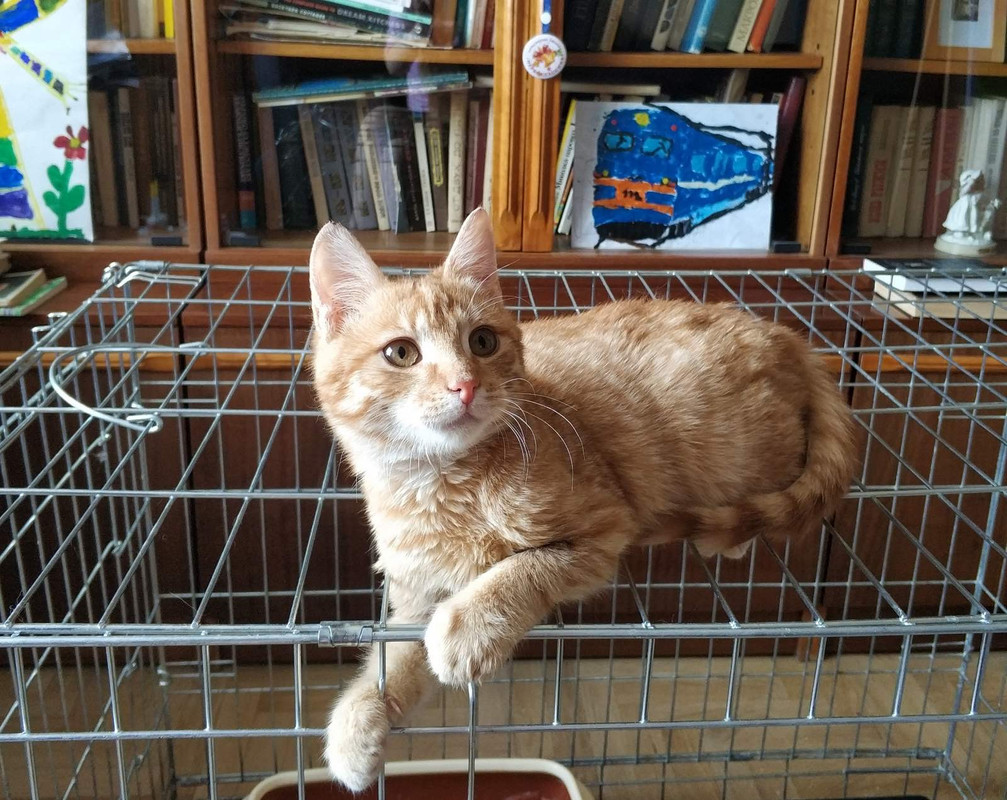 D15F5504-E918-45B6-A968-20F49A57662E