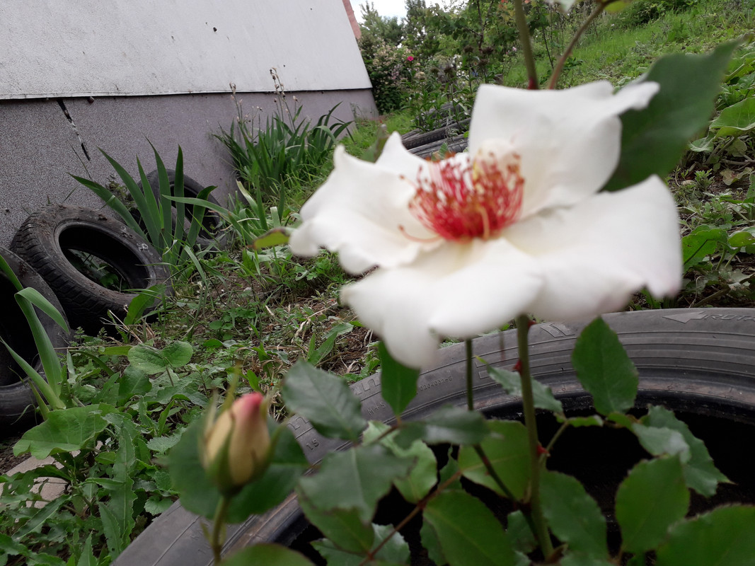 20190530_154621