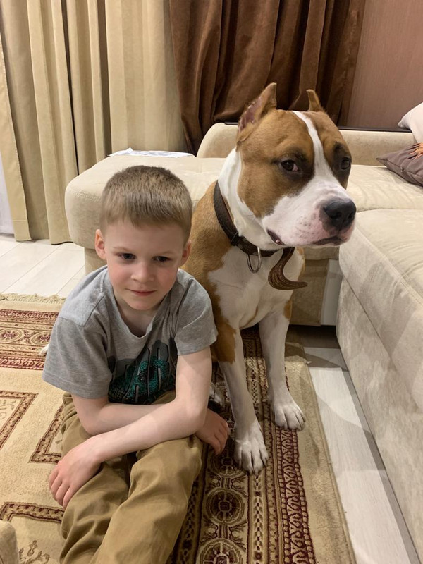 90B0C6A3-FEBB-471F-A1B4-AF9F73705799