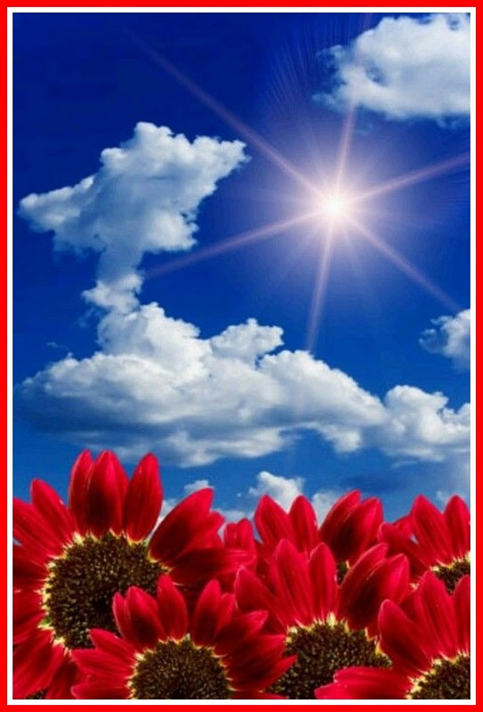 B4AC64B2-D872-412A-8CAF-18C86118392A