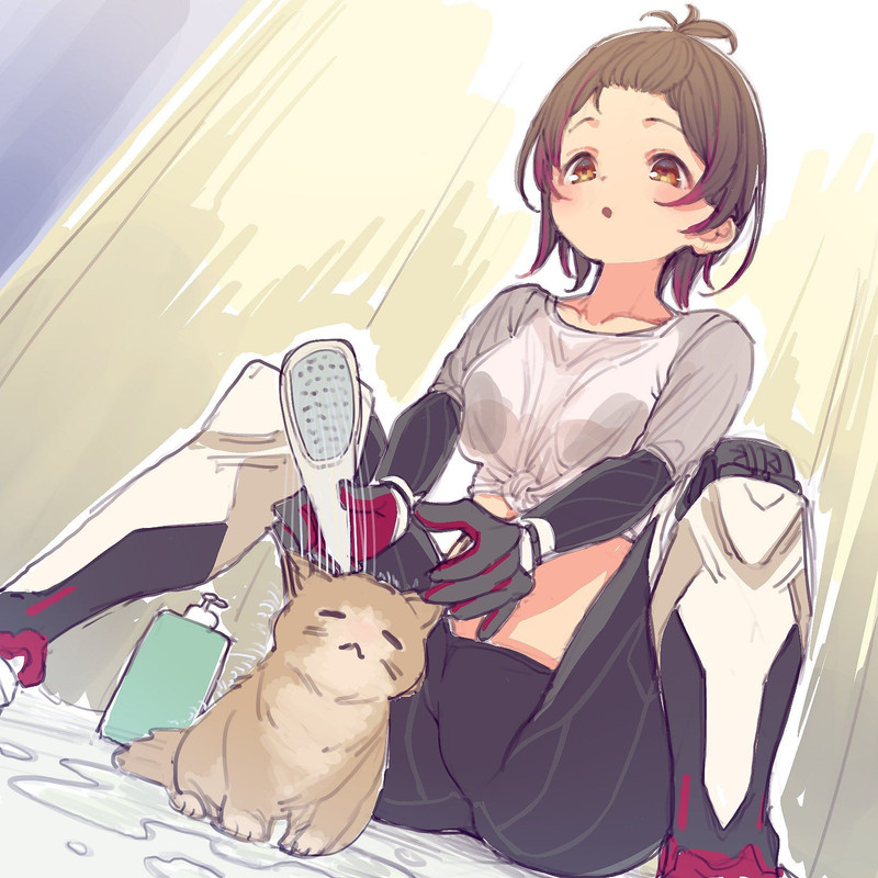 roboco-san-hololive-drawn-by-nosir-onadat-32748d243d33184cc42d6de7c34acdf6-1