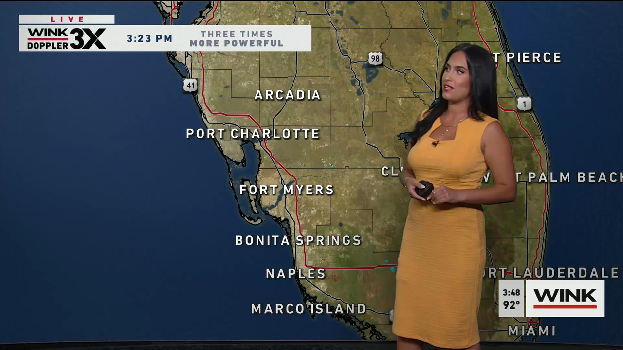 06.15 - 20.00.00 - WINK News at 3pm..ts_snapshot_00.51.03.735