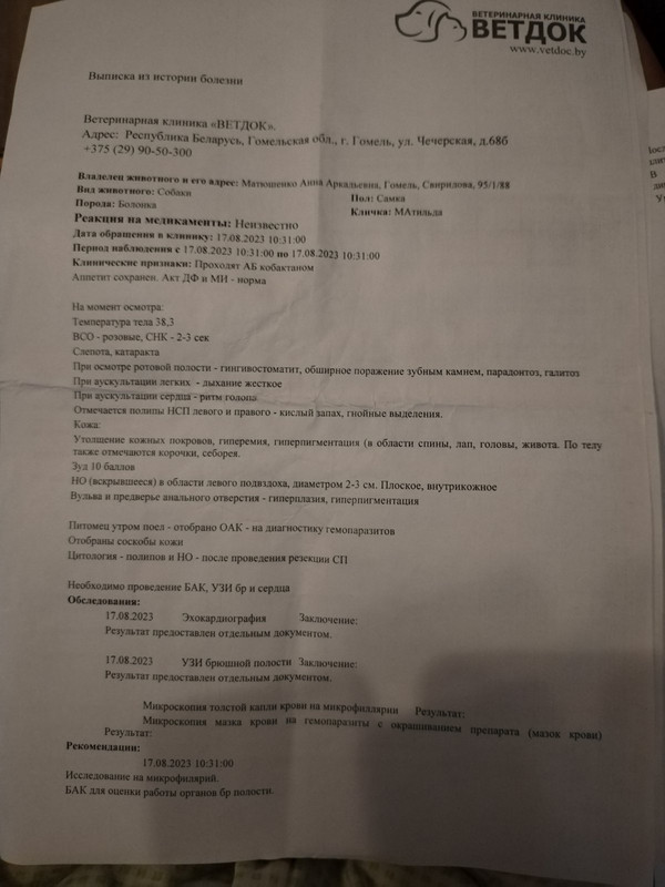 IMG-07b5e617312f1a2e477d89c86778c143-V