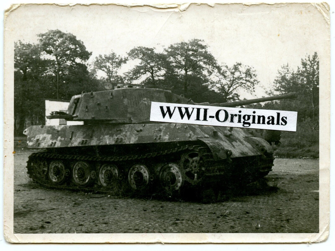 Foto Beute-Panzer SU-152 versus Tiger II Hüllhorst bei Bielefeld 1945 Endkampf1