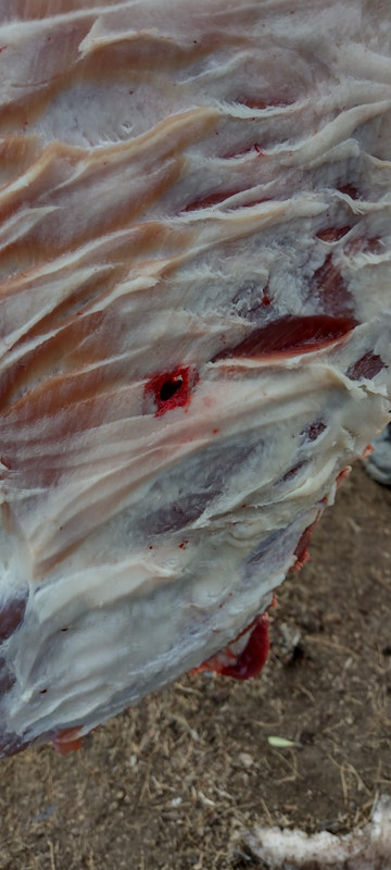 WhatsApp Image 2022-10-10 at 12.14.15