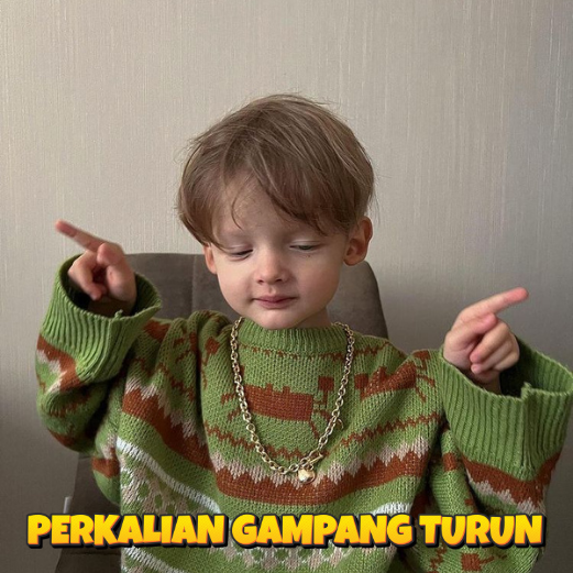 HAYANGJP606 𒁍 Tips Menghindari Penipuan Investasi Berkedok Cuan Instan di Internet image 1