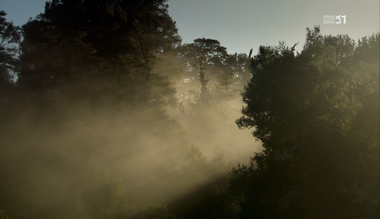 vlcsnap-2017-04-22-14h17m38s784