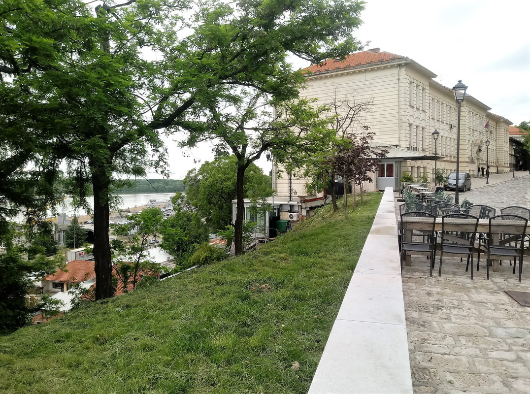 Slika