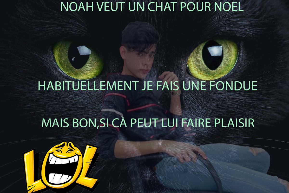 NOAH.jpg