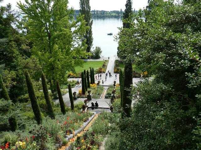 Día 5- Isla de Mainau y Constanza - ALSACIA, LAGO CONSTANZA Y SELVA NEGRA - Agosto 2017 (12)