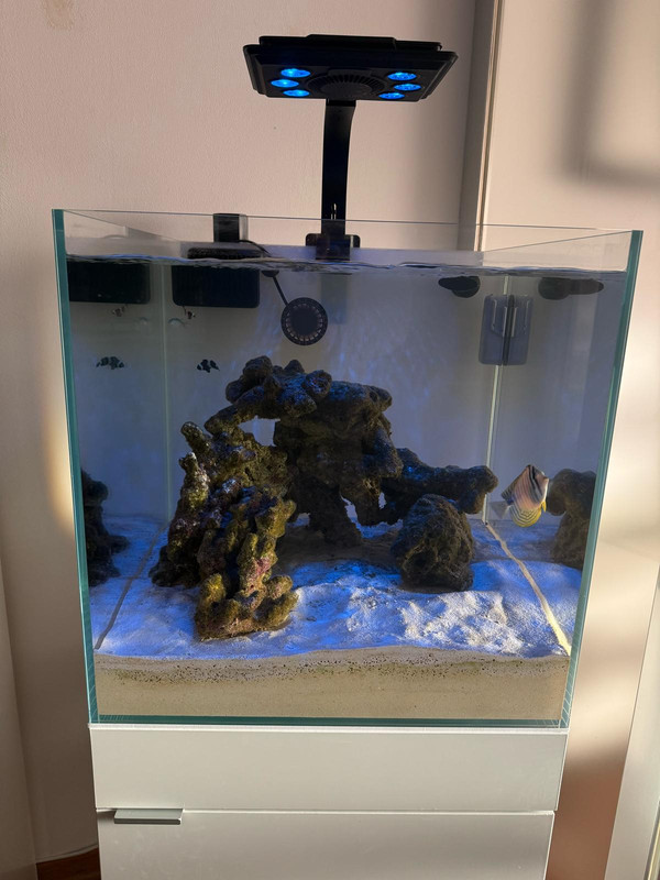 WhatsApp Image 2025-03-06 at 08.32.50 (2)