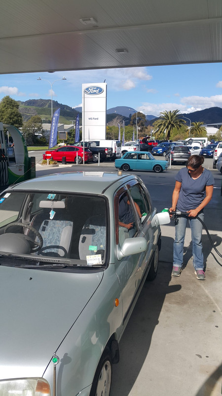 20200925_151025 (Large)