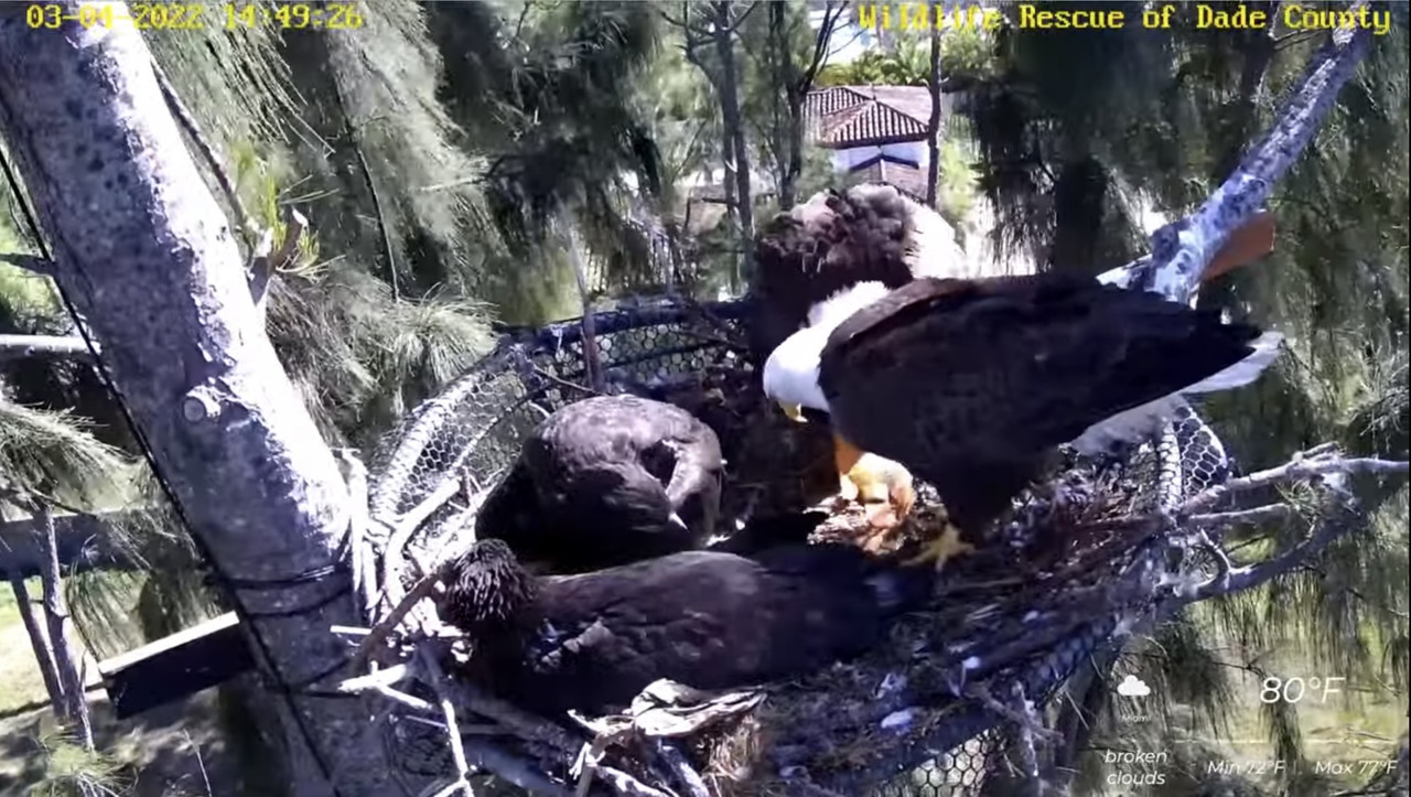 8B020EBF-1DAE-4C10-BFC9-818796BEF676