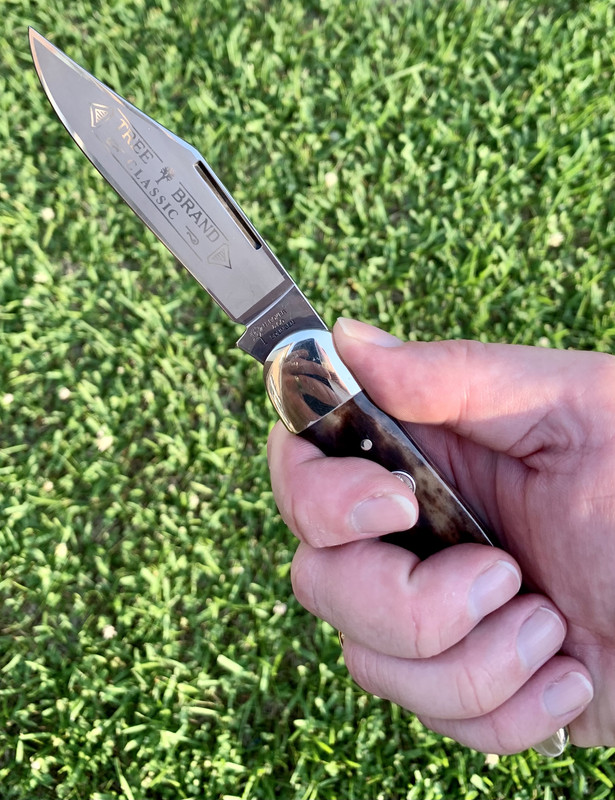 06D5A622-A694-42B4-A781-F29F8F752D2E