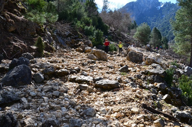 RUTA RIO BOROSA-12-3-2016-JAEN - Paseando por España-1991/2016 (86)