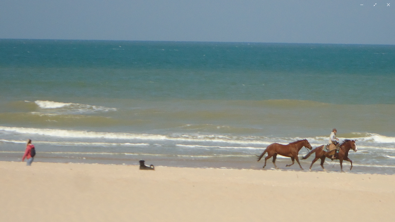 Capture d’écran (87)