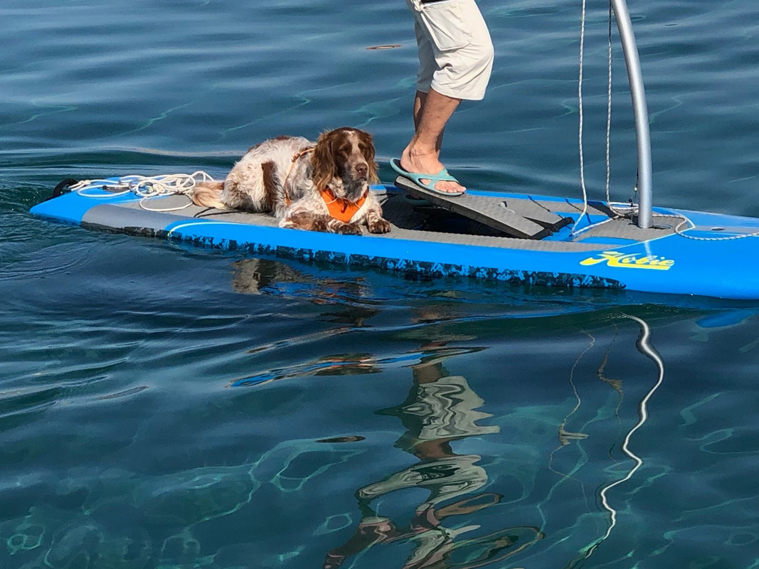 676ADB12-C0AC-442D-B6D2-AD0ADA6A3975