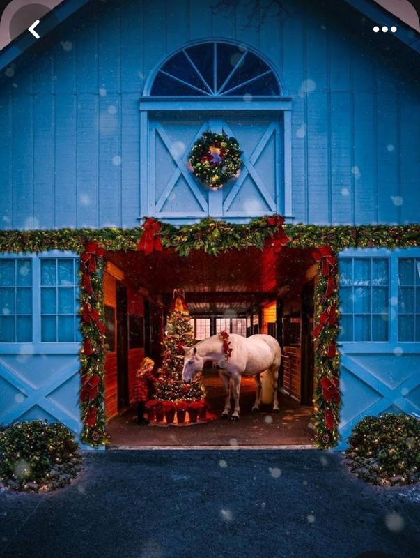 Screenshot_20231224_203921_Pinterest