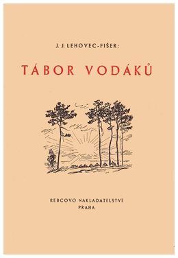 Obrázek